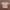 Based Club Muslim Formal Shirt Pria Brown