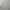Global Work Japan Soft Touch Blend Cotton Shanghai Collar Wo
