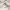 Billabong Minimalist Casual T-shirt Pria white photo 3