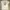Billabong Minimalist Casual T-shirt Pria white photo 2