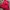 red jumpsuit whimsy  photo 3