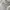paco rabanne Light Gray Lightweight Office Shirt (L) photo 5