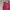 Number Nine Casual Casual pants Pria red photo 3