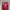 Number Nine Casual Casual pants Pria red photo 6