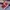 Vans authentic red chilli  photo 5