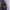 Jogger pants Jordan x Paris Saint Germain photo 6
