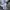 Jogger pants Stussy photo 6