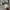 Japanese brand Streetwear Formal shirt Pria tan gray photo 4