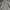 Japanese brand Streetwear Formal shirt Pria tan gray photo 3