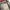 00s Montbell Frenay Parka Goretex Technical Jacket photo 5