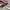 00s Montbell Frenay Parka Goretex Technical Jacket photo 6