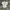 whimsy frilly morikei ruffel shirt photo 2