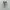 Asics Sportswear Sneakers Pria gray photo 4