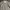Japanese brand Streetwear Formal shirt Pria multicolor photo 3