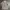 Japanese brand Streetwear Formal shirt Pria multicolor photo 2