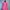 Long Blazer Double-Breasted Shocking Pink Kancing Emas Balma