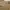 Forty Percent Against Rights FPAR Streetwear Luxury T-shirt Pria tan brown photo 5