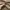 Forty Percent Against Rights FPAR Streetwear Luxury T-shirt Pria tan brown photo 6