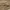 Forty Percent Against Rights FPAR Streetwear Luxury T-shirt Pria tan brown photo 8