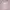 COLORBOX Coquette Casual Shirt dress Wanita pink photo 2