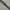 Campas belt photo 2