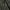 Burberry jaket coat harrington nova check second brand brand photo 5