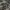 Burberry jaket coat harrington nova check second brand brand photo 3