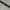 Fantom belt photo 2