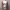 Luxury Lolita Wrap dress Wanita multicolor photo 5
