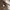 Luxury Lolita Wrap dress Wanita multicolor photo 6