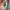 jaket outdoor trespess second (4384) photo 9