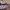 Compass Indie Casual Sneakers Pria purple photo 7