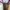 Compass Indie Casual Sneakers Pria purple photo 4