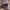Compass Indie Casual Sneakers Pria purple photo 5