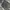 Uniqlo Casual Formal pants Pria gray photo 2