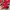 Vintage Windbreaker Pria white red photo 6