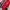 Vintage Windbreaker Pria white red photo 1