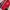 Vintage Windbreaker Pria White Red