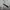 UNIFORM BRIDGE M65 JACKET SECOND BRANDED photo 6