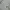 UNIFORM BRIDGE M65 JACKET SECOND BRANDED photo 5