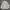 UNIFORM BRIDGE M65 JACKET SECOND BRANDED photo 4