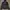 BILLABONG PUFFER JACKET SECOND BRANDED photo 3