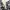 Luxury Midi dress Wanita white black photo 3