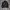 MASSIMO DUTTI JACKET SECOND BRANDED