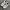 New Balance Streetwear Sneakers Pria White