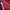 Kaos T-shirts Diesel Y2k  Maroon | Thriftshop photo 6