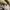 Louis Vuitton Neverfull Damier Ebene MM Tote bag photo 3