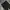 Uniqlo Casual Formal pants Pria black photo 3