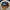 Handbag Unisex photo 4