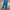 Celana Levis Demi Curve Slim Mantab photo 4